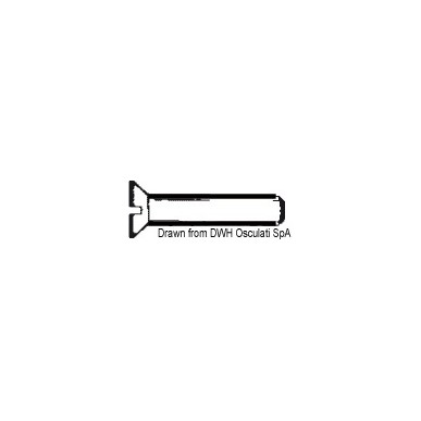 Vis tête conique fraisée fendue 5x60 AISI 304 MET/TS5X60| EAN 8033137178658 Ref A2-963-05X060