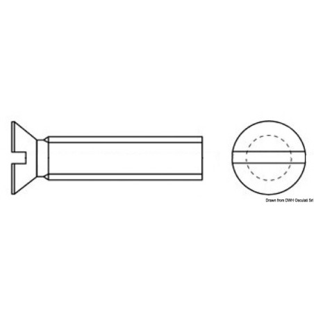 
Vis tête conique fendue tournevis 3x20 mm AISI316 
