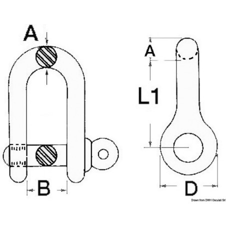 
Manille mod. lyre  axe imperdable AISI 316 6 mm 
