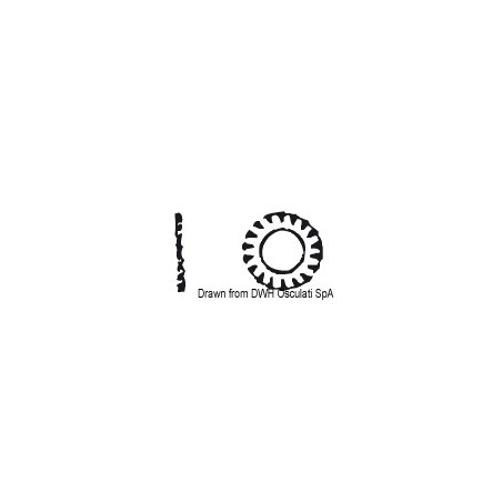 Rondelle éventail 4 AISI 304 DENT4| EAN 8033137174988 Ref A2-6798-04
