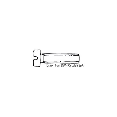 Vis tête cylindrique fileté 3x12 AISI 304 MET/TC3X12| EAN 8033137177057 Ref A2-84-03X012